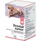 Drontal Junior 1×50 ml, Suspension zum Einnehmen für Hunde