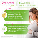 Prenatal Uno Set, 30 Kapseln + 30 Kapseln + Prenatal DHA, 30 Kapseln + kostenlose Flasche