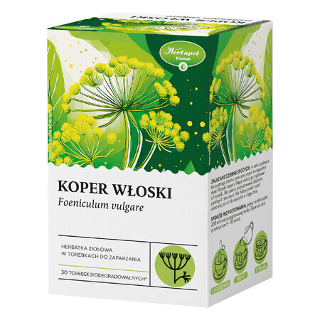 Herbapol Fenchel, Kräutertee, 30 Portionsbeutel