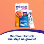 Dicoflor Junior, für Kinder ab 3 Jahren und Erwachsene, Beerengeschmack, 2 x 12 Portionsbeutel