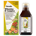 Floradix Vitamin-B-Komplex, 250 ml