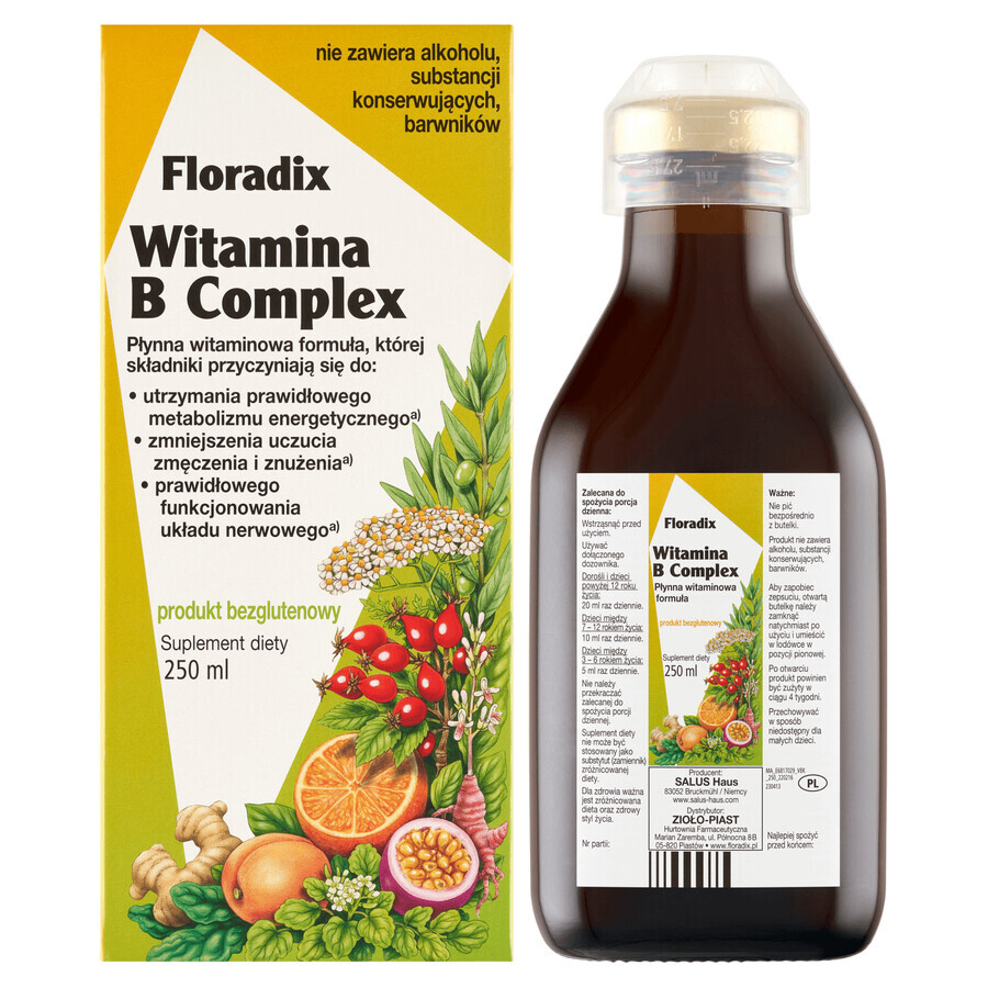 Floradix Vitamin-B-Komplex, 250 ml