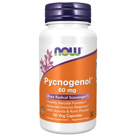 Now Foods Pycnogenol 60 mg, 50 Kapseln