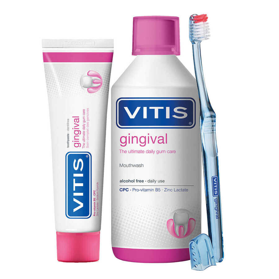 Kit Vitis Gingival, bain de bouche 500 ml + dentifrice 100 ml + brosse à dents 1 pc