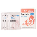 Lactofem Forte, sabor clásico, 10 sobres + 4 sobres gratis