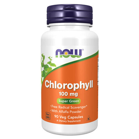 Now Foods Chlorophyll 100 mg, Chlorophyll, 90 vegetarische Kapseln