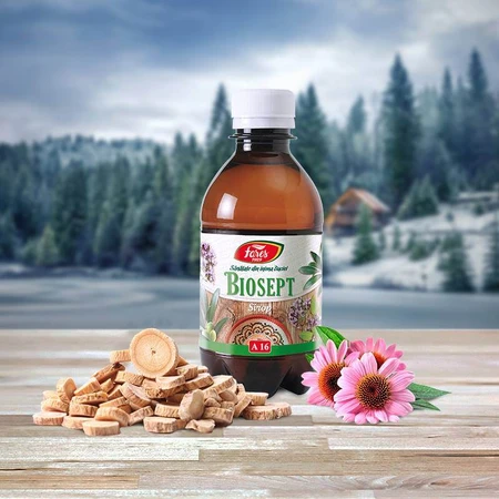 Biosept syrup, A16, 250 ml, Fares
