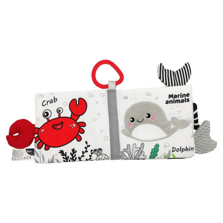 Ackuku, sensory booklet, marine animals