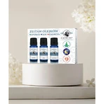 Set N-Active Oil Calm & Sleep & Energy, natürliche ätherische Öle, 3 x 10 ml
