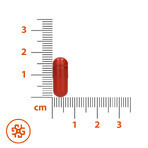 SEMA Lab Eisen + Vitamin C, 60 Hartkapseln