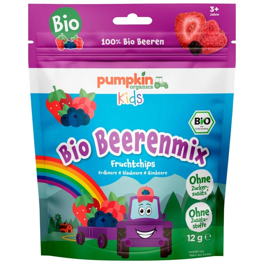 Bio-Chips mit gemischten Beeren, +3 Jahre, 12 g, Pumpkin Organics