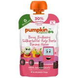 Biologische perenpuree, aardbeien, zoete aardappelen, rode bieten, bananen en haver, +6 maanden, 100 g, Pumpkin Organics
