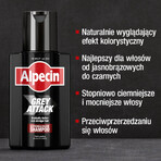 Alpecin Grey Attack Caffeine & Colour shampoo colorante 200 ml