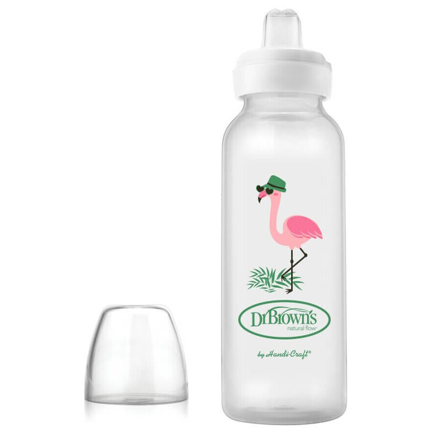 PP Design Flamingo Enghalsflasche mit kleinem Schluckauslauf, 250 ml, Dr.Browns