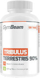 GymBeam Tribulus Terrestris 240 Tabletten