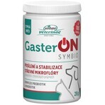 Vitar Veterinae GasterON SYMBIO-Glas 28 g