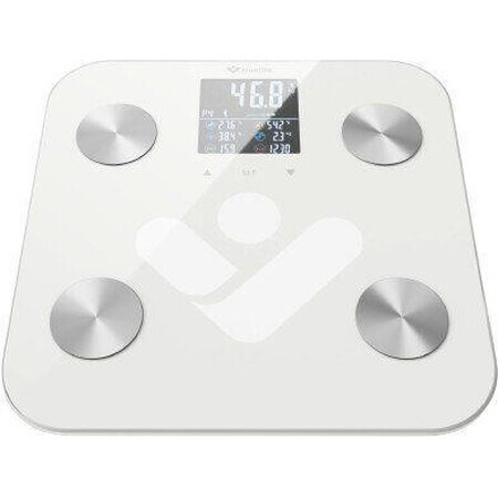 TrueLife FitScale W6 BT Bluetooth Personenwaage