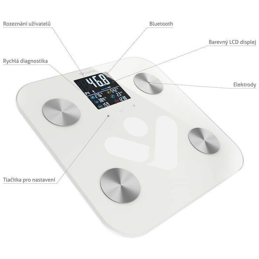 TrueLife FitScale W6 BT Bluetooth Personenwaage