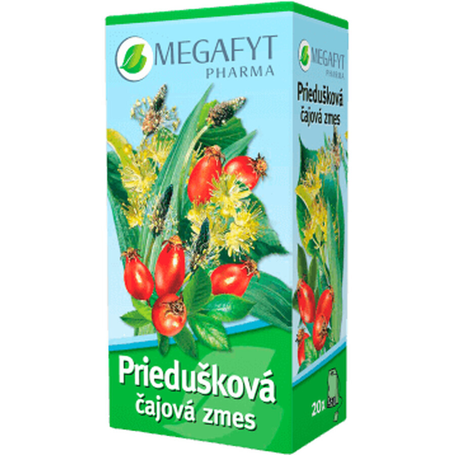 Megafyt Bronchial Tea Blend pungi de ceai 20 x 1,5 g