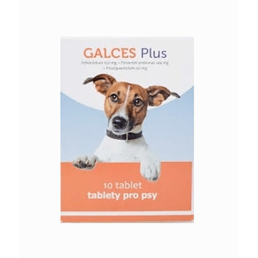 Galces für Hunde 10 Tabletten