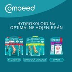 Compeed Plasture kleine Blister 6 Stück