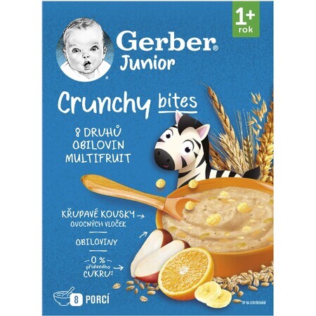 Gerber Junior Fruchtbrei ohne Milch mit Knusperstückchen 200 g