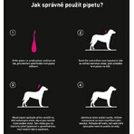 Frontline Tri-Act Spot-On für Hunde L Boden 4 ml