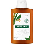 Klorane Anti-Schuppen-Shampoo mit Galgant 200 ml