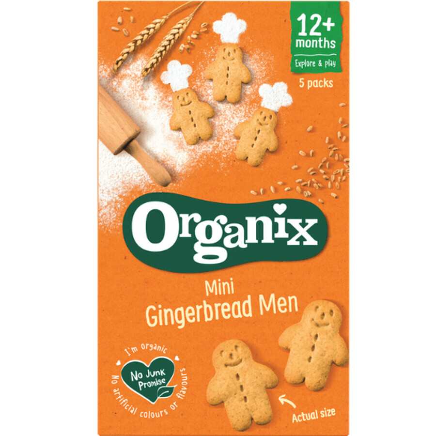 Goodies Bio-Ingwer-Kekse, +12 Monate, 5x 25g, Organix