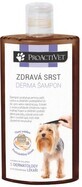 Proactivet Gesundes Fell Derma Shampoo 250 ml