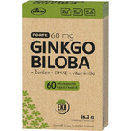 Vitar EKO Ginkgo biloba 60mg + DMAE + Vitamin B6, 60 Kapseln