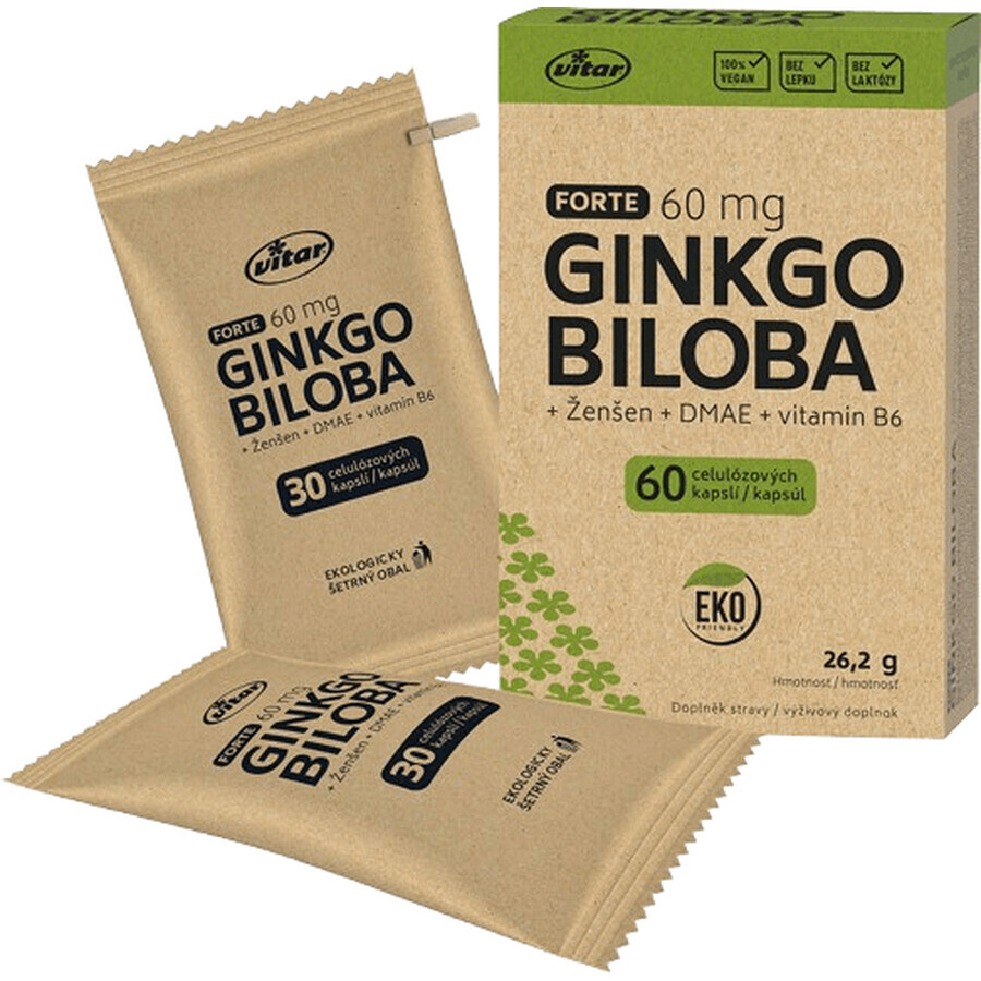 Vitar EKO Ginkgo biloba 60mg + DMAE + Vitamin B6, 60 Kapseln