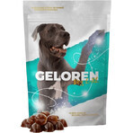 Geloren Dog L-XL 60 Tabletten