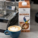 Bautura de nuci de macadamia Barista, 1 L, Macadamia