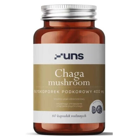 Ciupercă Chaga 400mg 60 capsule UNS