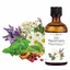 Saint Bernhard 101-huile essentielle 100 ml