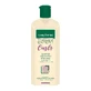 Gerovital Tratament Expert Curls Champú hidratante para cabello rizado, 250 ml