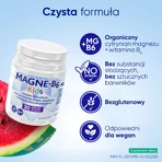 Magne-B6 Kids, vanaf 4 jaar, watermeloensmaak, 30 kauwtabletten