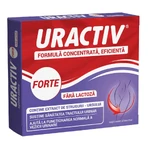 Uractiv Forte laktosefrei, 10 Kapseln, Terapia 