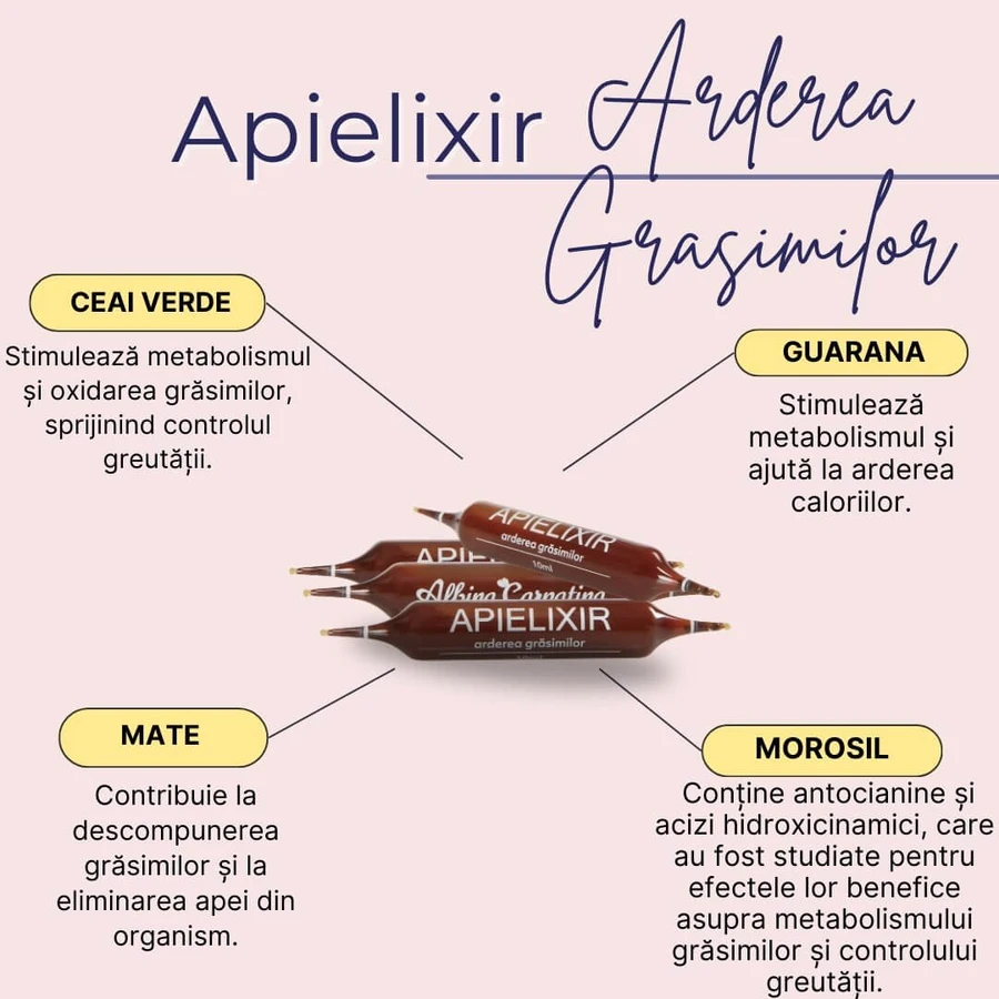 Apielixir Fat Burning, 30 vials, Albina Carpatina