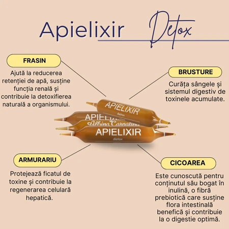 Apielixir Detox, 30 Fläschchen, Albina Carpatina