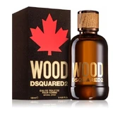 Dsquared2 Hout Pour Homme Eau de Toilette, 100ml