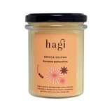 Hagi Small Soy Candle Spicy Orange, 215ml