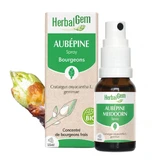 Herbalgem Bourgeons Espino blanco spray Bio 15ml
