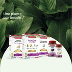 Superdiet Black Radish-Artichoke Liver Wellness 20 Ampoules Digestion 20 Ampoules