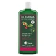 Logona Versterkende Shampoo met Cafeïne Bio 250ml