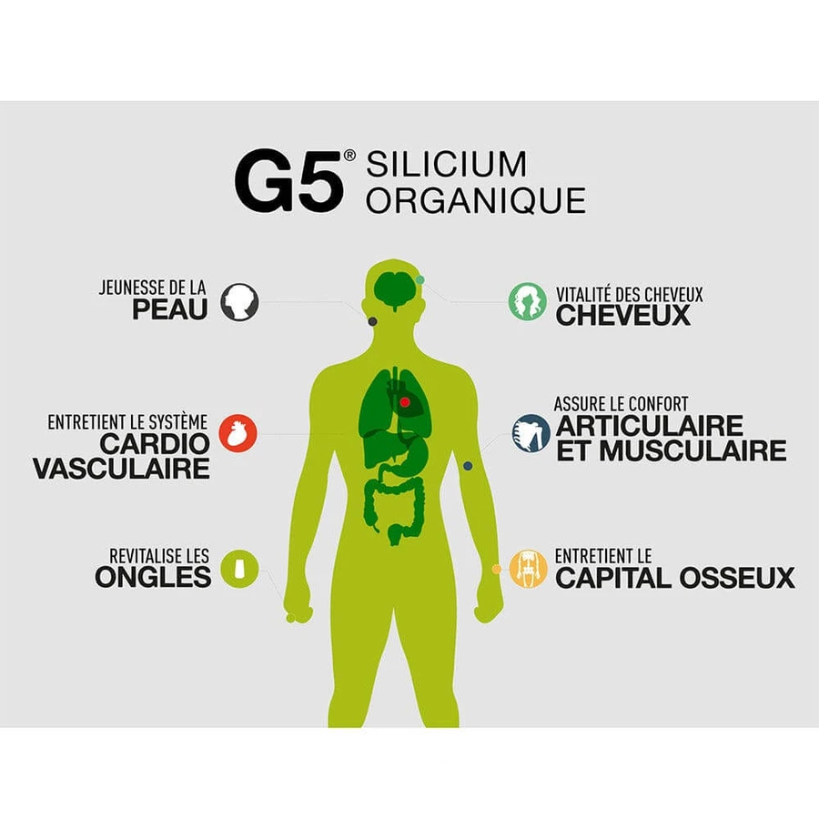 Silicium Organique G5 Llr-g5 500ml