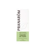 Pranarôm Essential Oils Ceylon Cinnamon Essential Oil 5ml