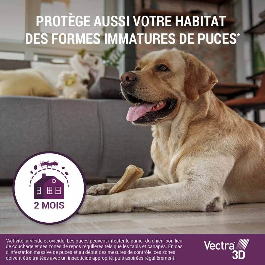 Ceva Vectra Spot-on Lösung für Hunde >4-10 kg 3 Pipetten