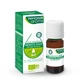 Phytosun Aroms Bio Bohnenkraut ätherisches Öl 5ml